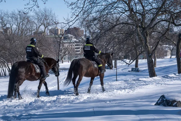 Montreal Febrero 2022 Oficiales Policía Montados Rcmp Patrullando Mount Royal — Foto de Stock