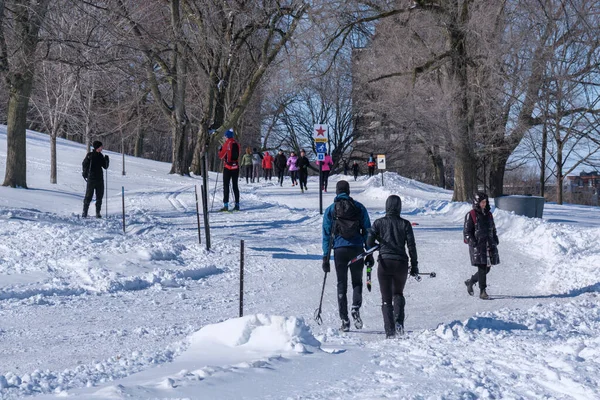 Montreal Února 2022 Lidé Chodí Nebo Lyžují Zasněžené Stezce Montrealu — Stock fotografie