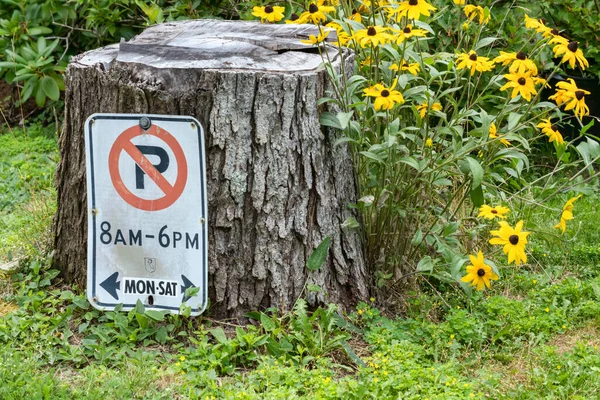 ハリファックス カナダの駐車場標識や黄色の花はありません — ストック写真