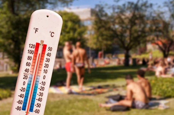 Thermometer Front Shirtless People Sunbathing Park — ストック写真