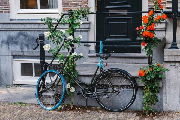 Blue Bike Amsterdam Netherlands — Stockfoto