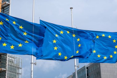 AB bayrakları önünde Avrupa Komisyonu'nun Brüksel, Belçika