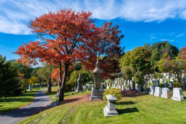 Montreal, Kanada - 2 Ekim 2022: Sonbaharda Montreal Mezarlığı 'nda mezar taşları