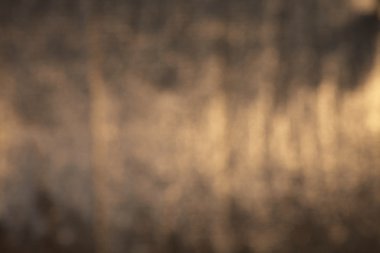 Altın ışıltılı arka plan