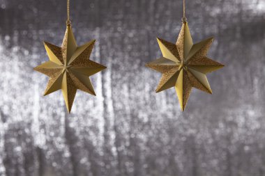 Noel yıldızı grubu