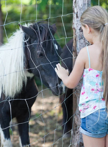 Klein meisje en pony — Stockfoto