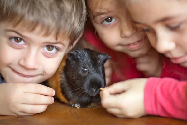 çocuk ve eskiden şiling şimdi domuz