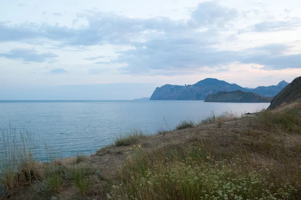 Gras door kust — Stockfoto