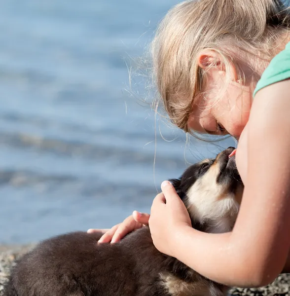 Chiot lèche le nez de l'enfant — Photo