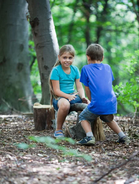 Teeter-totter in wood — Stock Photo, Image