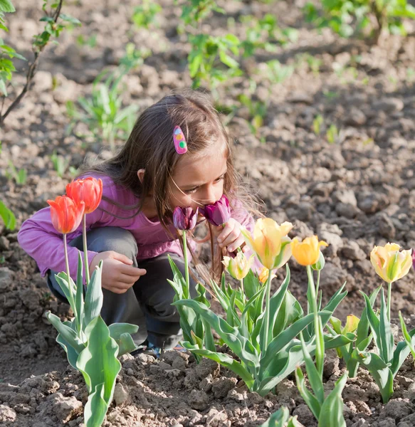 Bambina con tulipani — Foto Stock