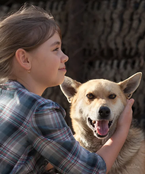 Jente med hund – stockfoto