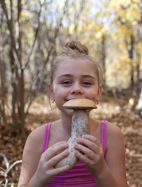 Vinden in het bos — Stockfoto