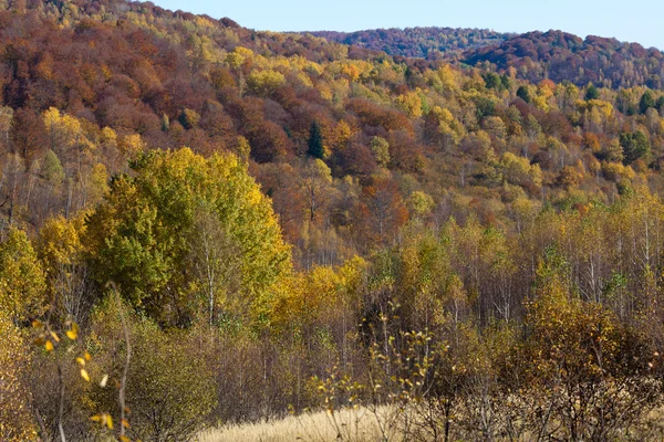 Upadek — Zdjęcie stockowe