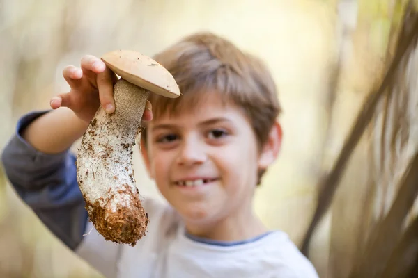 Jongen met paddestoel — Stockfoto