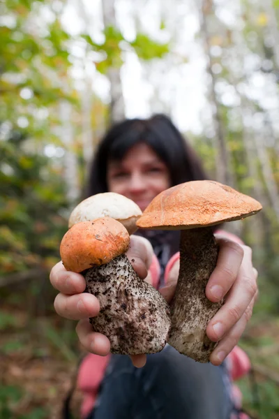 Mushrooms in hands — Stock Photo, Image