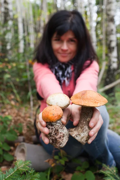 Mushrooms in hands — Stock Photo, Image