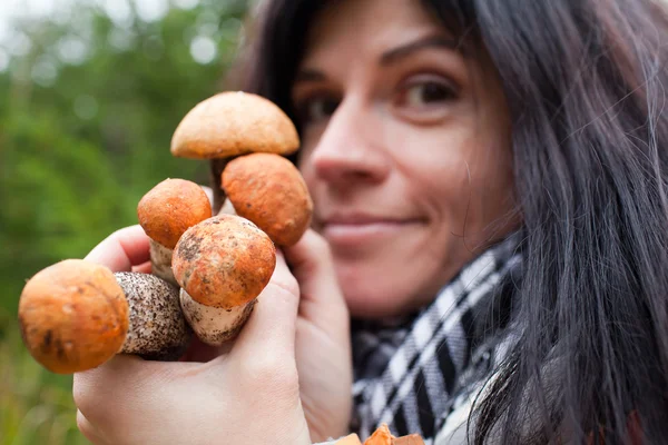 Mushrooms in hands — Stock Photo, Image