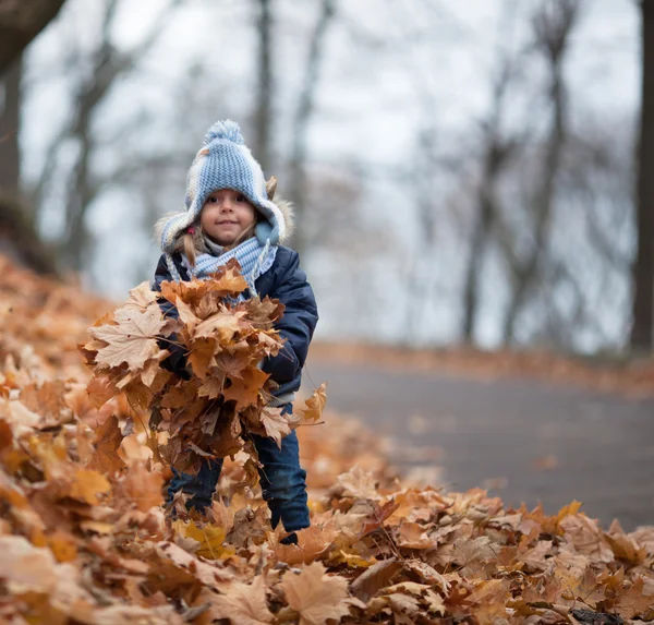 Маленькая девочка играет с листьями — стоковое фото