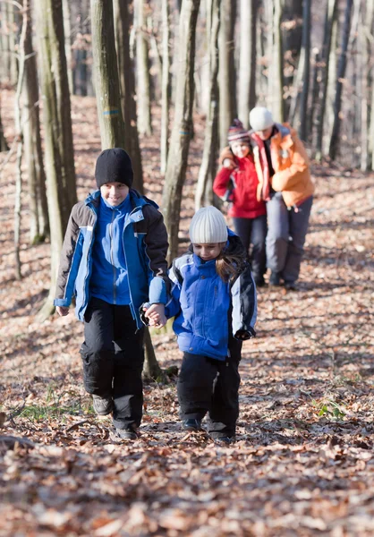 Familia caminando en el bosque — Foto de Stock