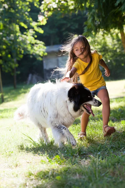 Niña con perro corriendo —  Fotos de Stock