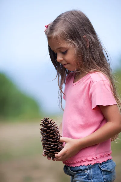 Natura — Foto Stock