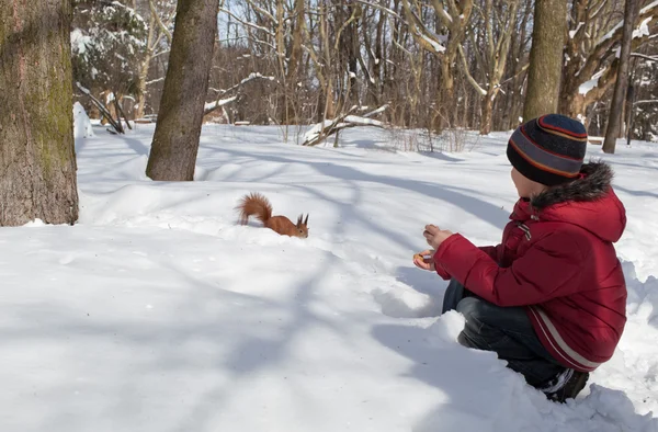Eichhörnchen und kleiner Junge — Stockfoto