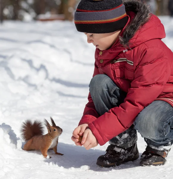 Squirrel and little boy — Stock Photo, Image