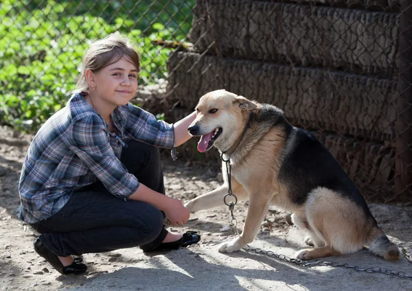 Flicka med hund — Stockfoto