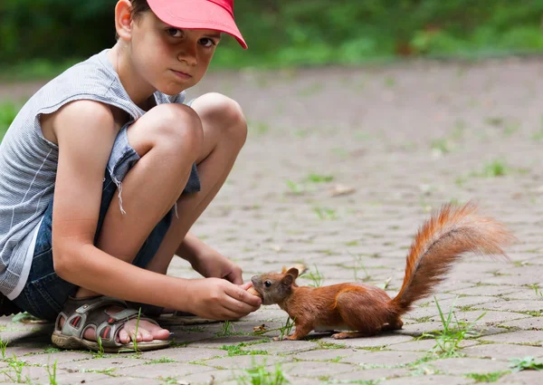 Little boy and squirrel — Stock Photo, Image