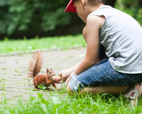 Kleine jongen en eekhoorn — Stockfoto