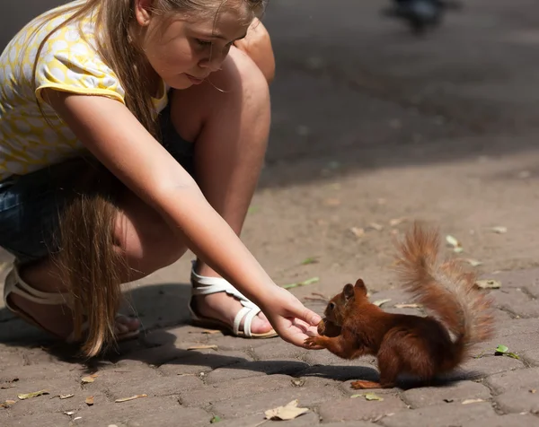 Little girl and squirrel — Stock Photo, Image