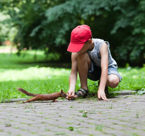 Liten pojke och ekorre — Stockfoto