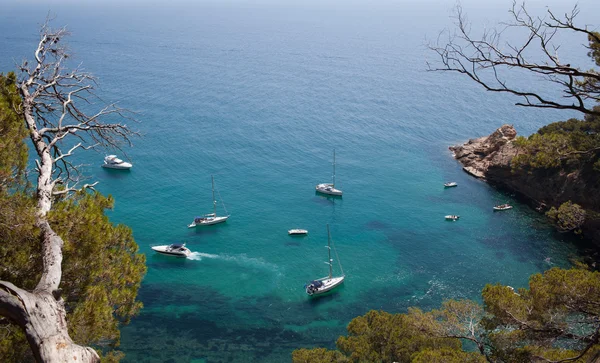 Ακτές της Μεσογείου — Φωτογραφία Αρχείου