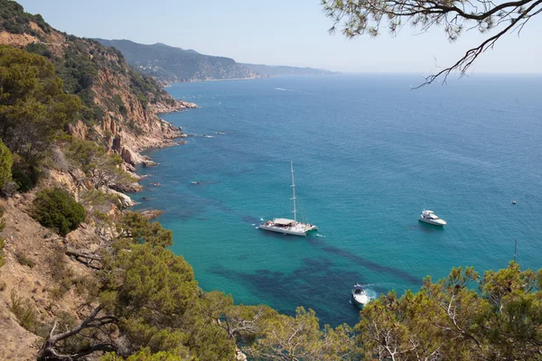 Akdeniz kıyılarında — Stok fotoğraf