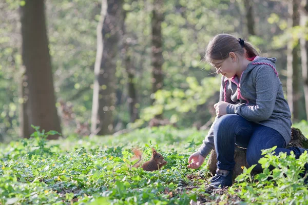 Bambina e scoiattolo — Foto Stock