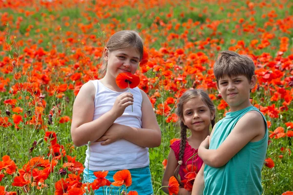 Summertime — Stock Photo, Image