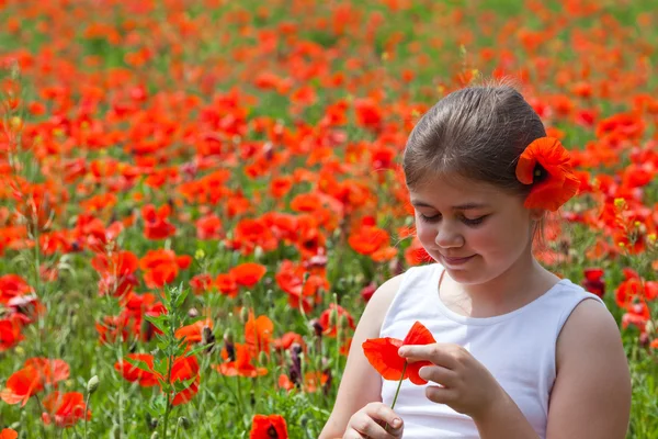 Summertime — Stock Photo, Image