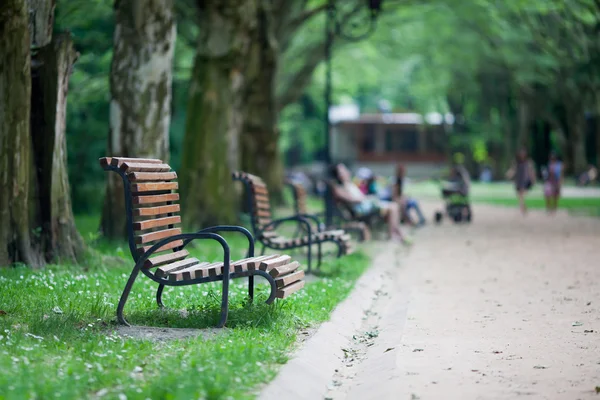 Evening in the park — Stock Photo, Image