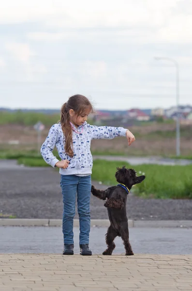 Klein meisje opleiding van een hond — Stockfoto