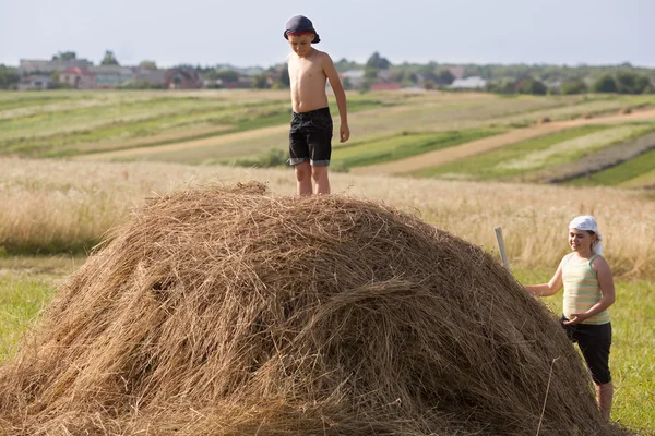 Kinderen en hooi op veld in zonsondergang — Stockfoto