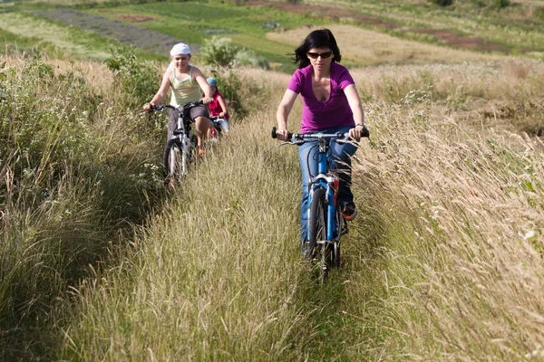 Keluarga mengendarai sepeda di padang rumput. — Stok Foto
