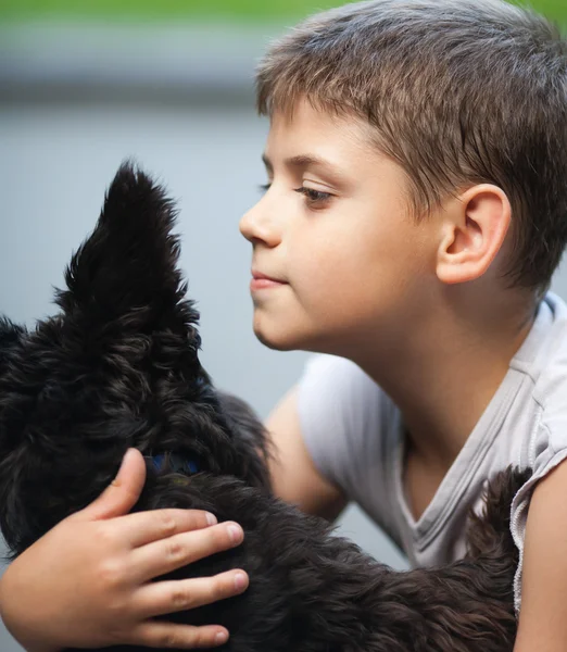 Boy kissing dog Stock Photos, Royalty Free Boy kissing dog Images