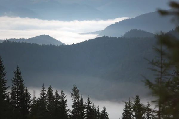 Sunrise on the mountain — Stock Photo, Image