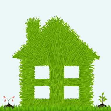 otsu bitkiler ev. Ekoloji