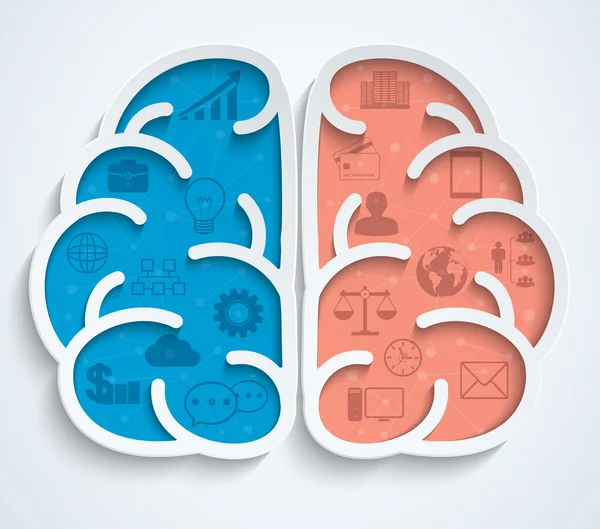 Gehirn mit Business-Symbolen auf weißem Hintergrund — Stockvektor
