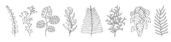 Flower Branches Plants Set Leafy Design Elements — Vettoriale Stock