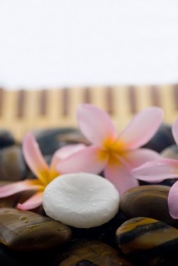 Aromaterapi ve spa gevşeme