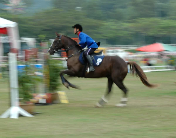 馬術スポーツ — ストック写真