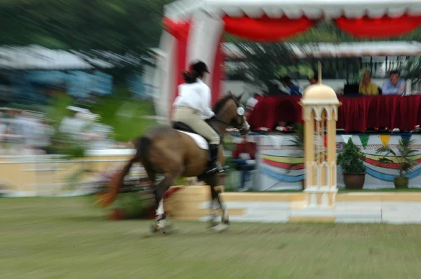 馬術スポーツ — ストック写真